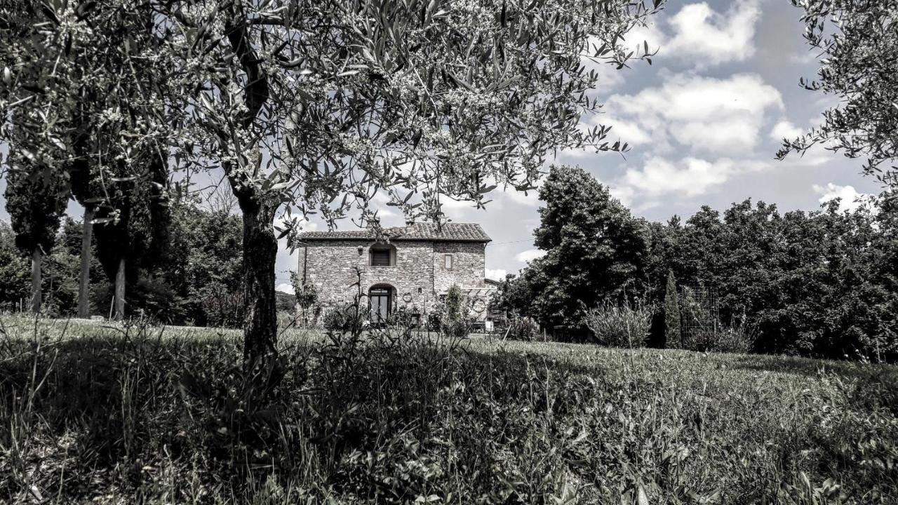 Podere Pievina Delle Corti - Dimora Di Campagna Sinalunga Exterior foto