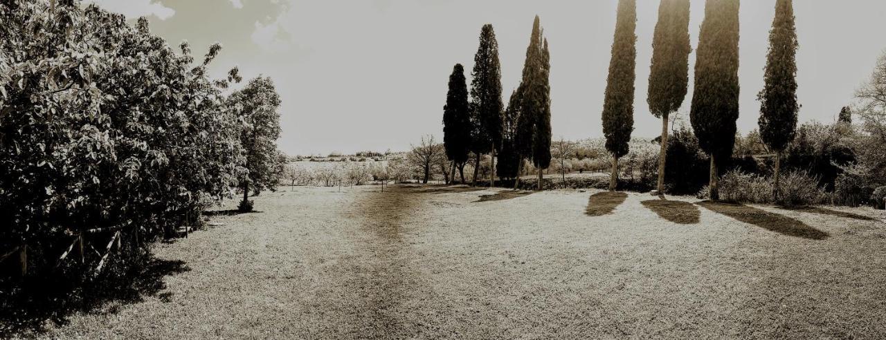 Podere Pievina Delle Corti - Dimora Di Campagna Sinalunga Exterior foto