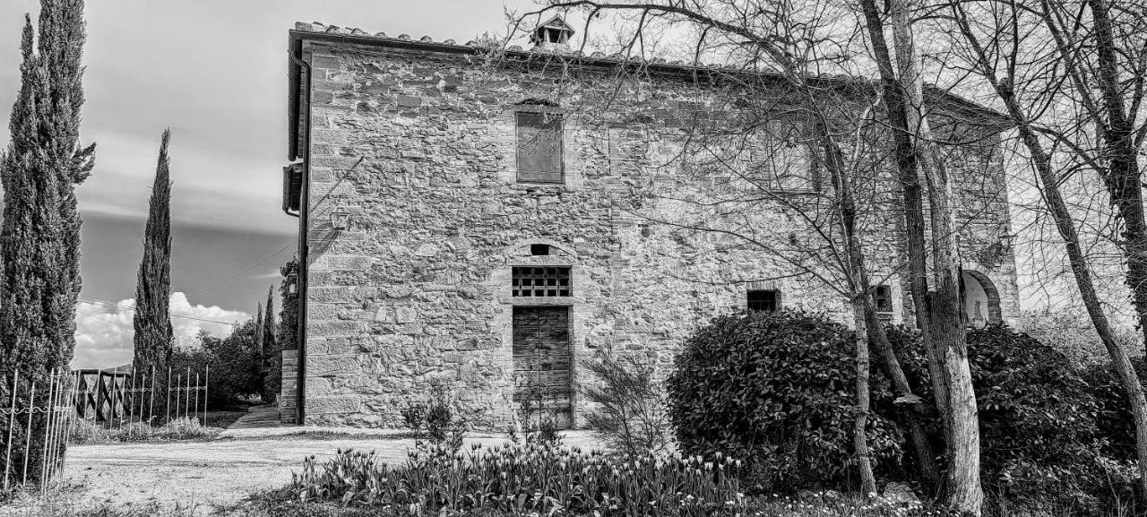 Podere Pievina Delle Corti - Dimora Di Campagna Sinalunga Exterior foto