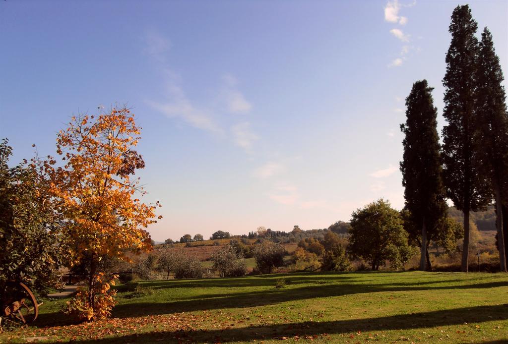 Podere Pievina Delle Corti - Dimora Di Campagna Sinalunga Exterior foto