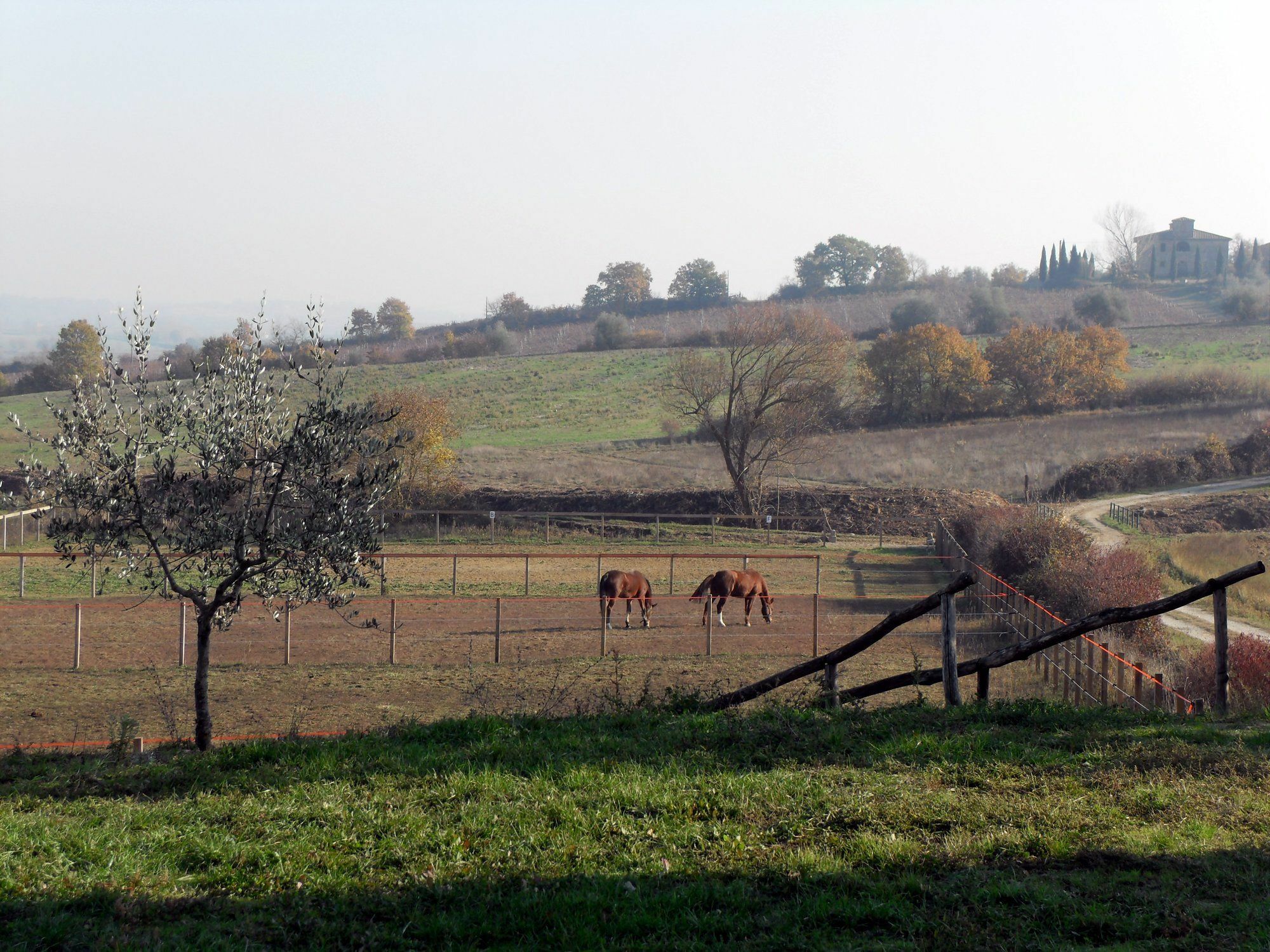 Podere Pievina Delle Corti - Dimora Di Campagna Sinalunga Exterior foto