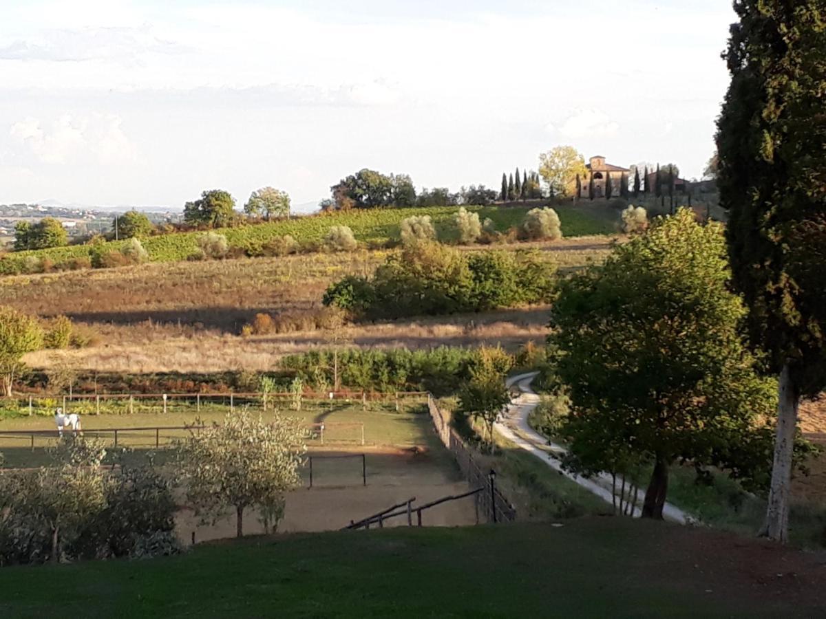 Podere Pievina Delle Corti - Dimora Di Campagna Sinalunga Exterior foto